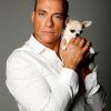 Jean-Claude Van Damme